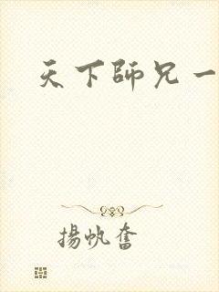 天下师兄一般黑封面