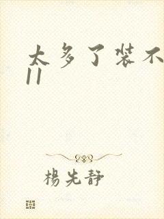 太多了装不下H11