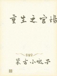 重生之官场风流