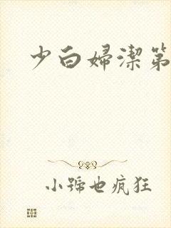 少白妇洁第二部封面