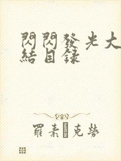 闪闪发光大团圆结目录