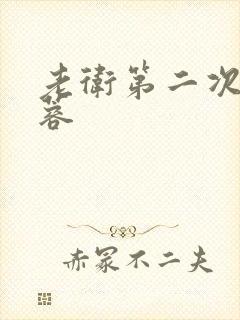 老卫第二次玩淑蓉封面