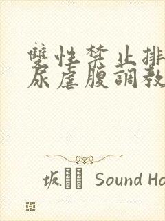 双性禁止排泄憋尿虐腹调教sm封面