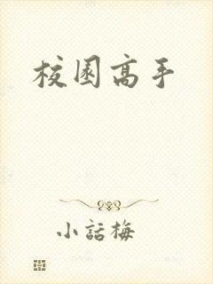 校园高手