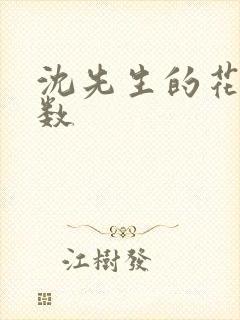 沈先生的花式调数