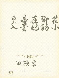 皇帝在御花园进入贵妃的小说