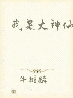 我是大神仙小说