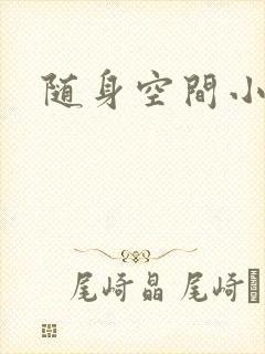 随身空间小说封面