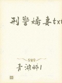 刑警娇妻txt封面