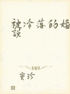 被冷落的婚姻小说