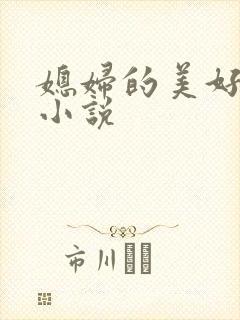 媳妇的美好时代小说