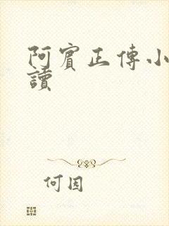 阿宾正传小说在读封面