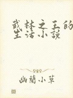 武林之王的退隐生活小说