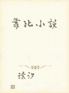 靠比小说封面
