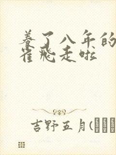 养了八年的金丝雀飞走啦