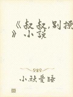 《叔叔,别撩我》小说