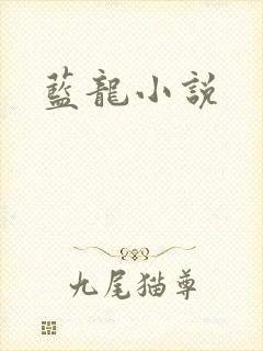 蓝龙小说封面