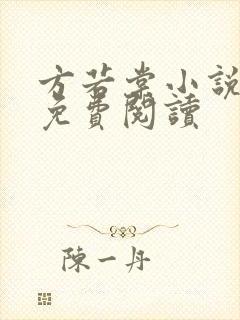 方若棠小说全文免费阅读封面