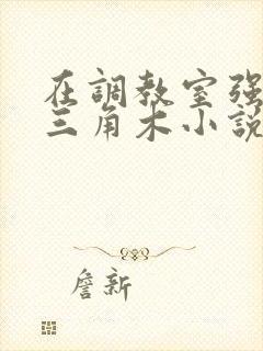 在调教室强迫坐三角木小说封面