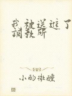 我被送进了私奴调教所