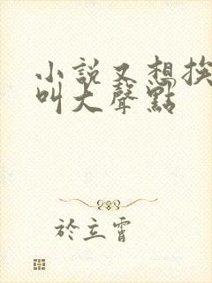 小说又想挨C了叫大声点封面