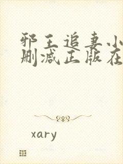 邪王追妻小说无删减正版在线阅读