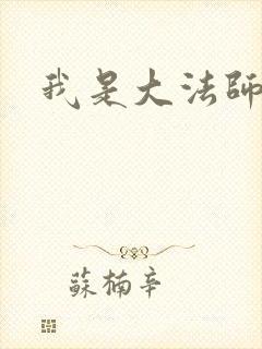 我是大法师封面
