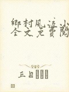 乡村风流小傻子全文免费阅读