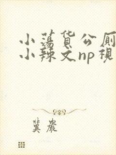 小荡货公厕h文小辣文np视频