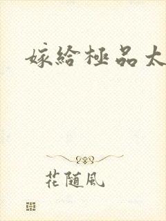 嫁给极品太子封面