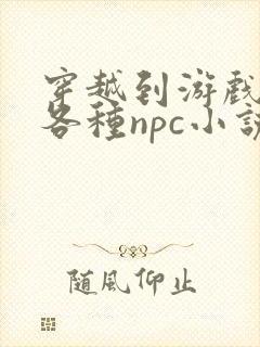 穿越到游戏里和各种npc小说