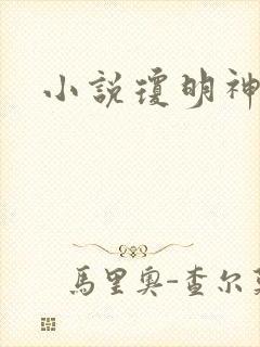 小说琼明神女录