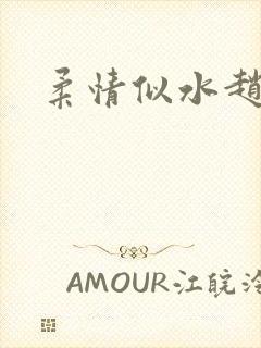 柔情似水赵雅儿