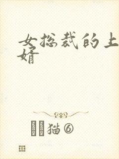 女总裁的上门女婿