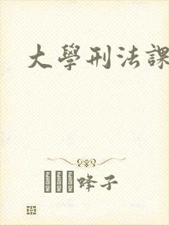 大学刑法课