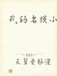 我的名模小娇妻封面
