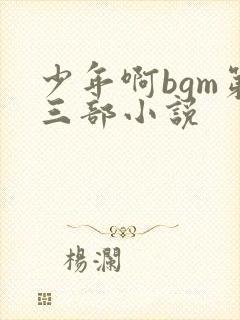 少年啊bgm第三部小说封面