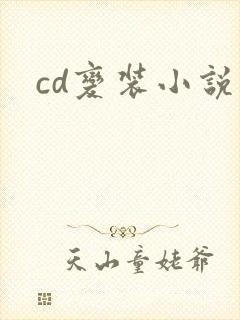 cd变装小说