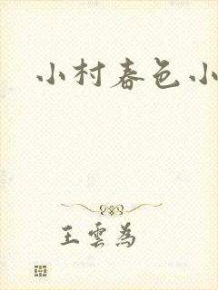 小村春色小说封面