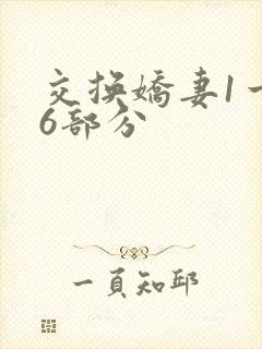 交换娇妻1一36部分