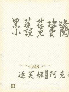 黑莲花攻略手册小说免费阅读全文