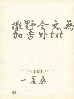 撒野全文无删减加番外txt封面