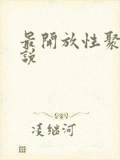 最开放性聚会小说