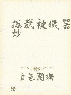 总裁被机器人爆炒封面