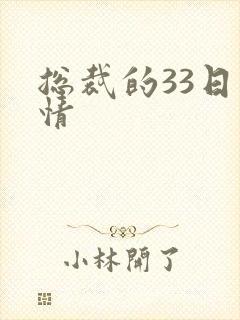 总裁的33日索情