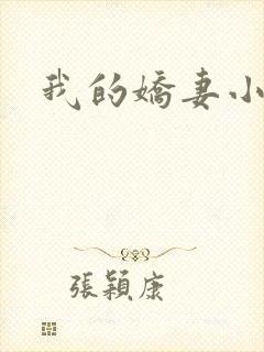 我的娇妻小说