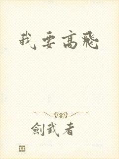 我要高飞封面