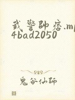 武警帅痞.mp4bad2050封面