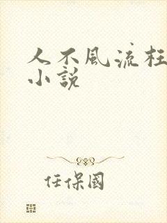 人不风流枉少年小说