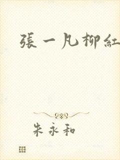 张一凡柳红封面